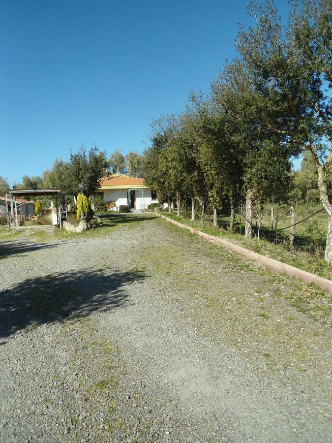 Tra Mare E Monti Lejlighed Santa Giusta Eksteriør billede